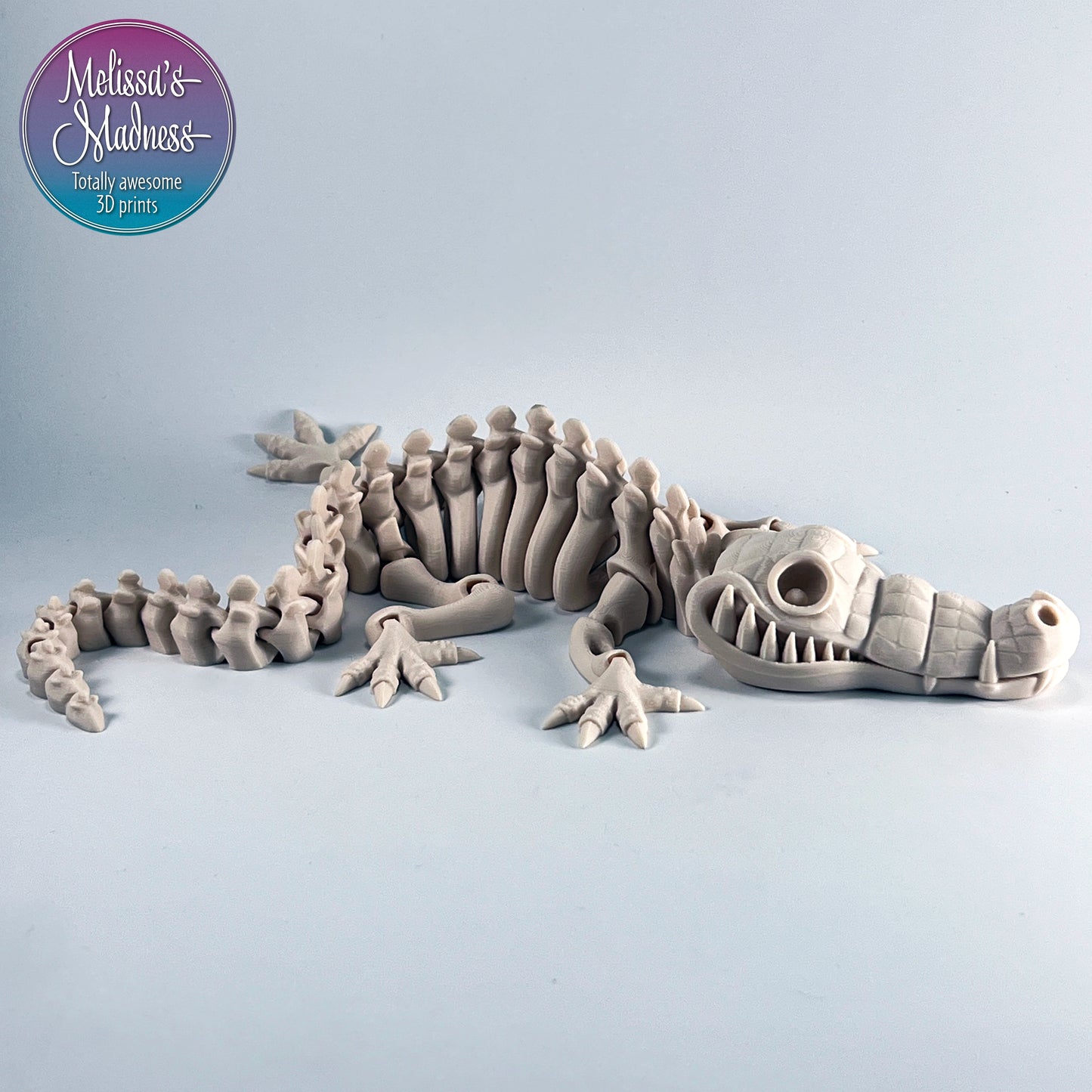 Crocodile Skeleton in Bone