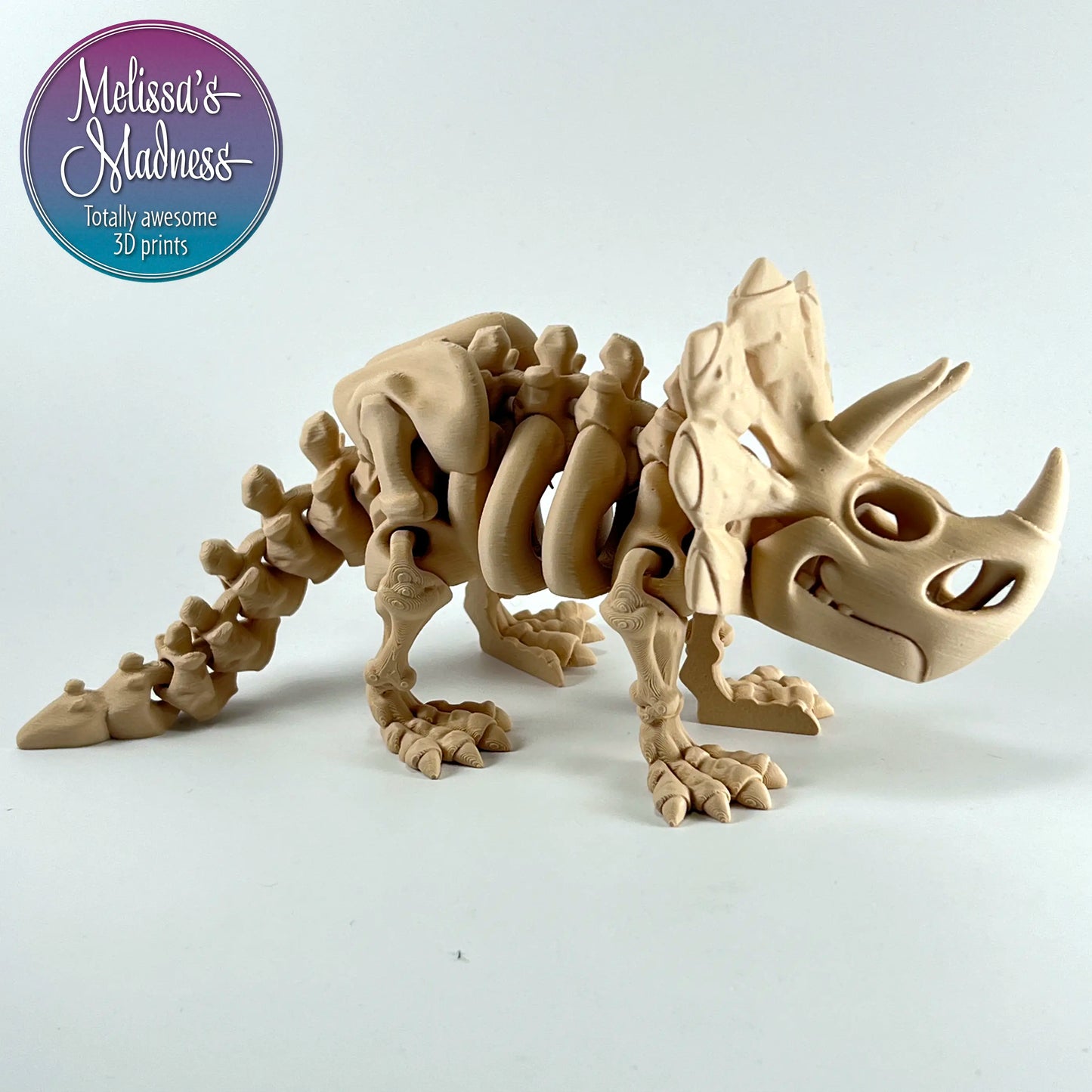 Triceratops Skeleton in Latte