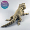 Bearded Dragon in Desert Tan