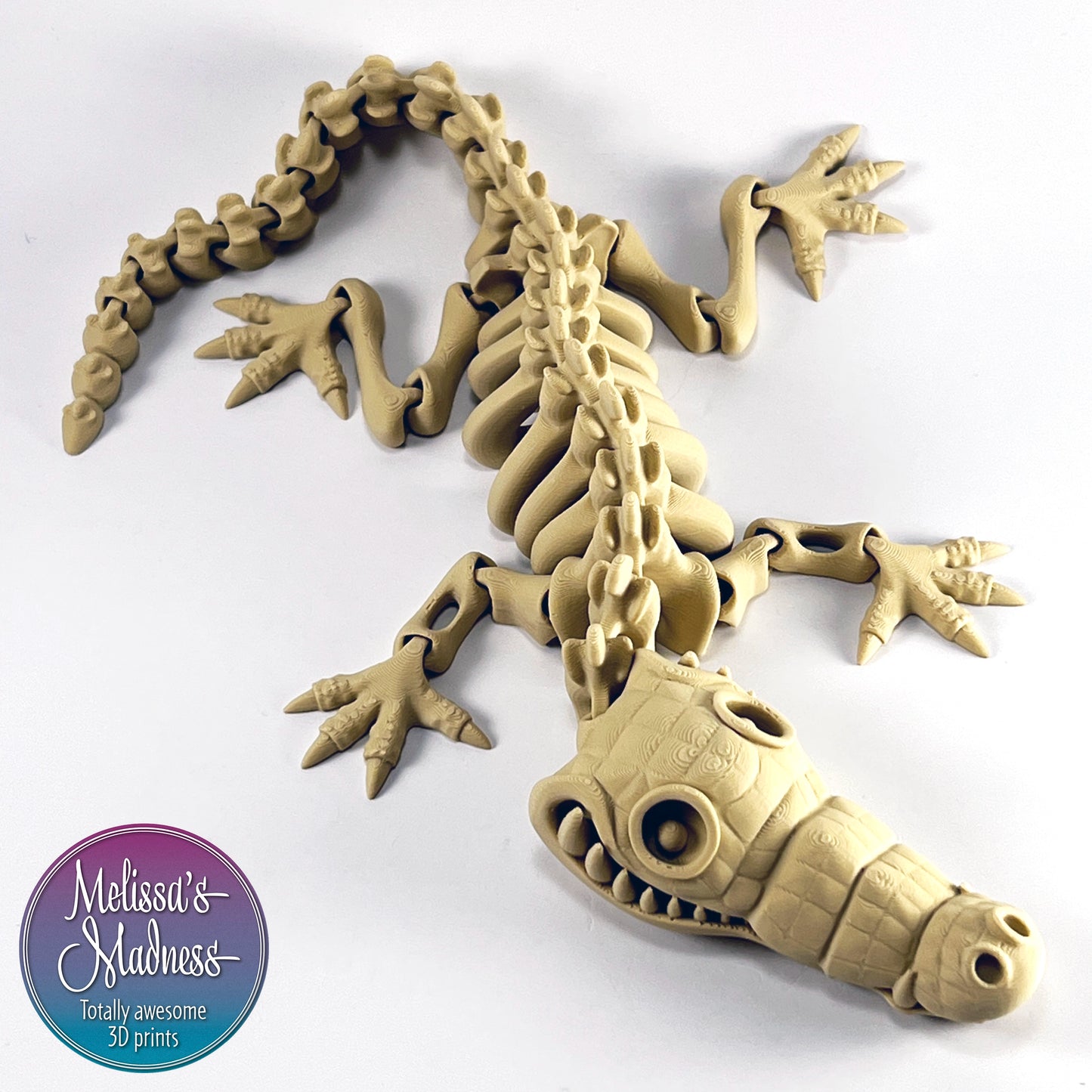 Crocodile Skeleton in Desert