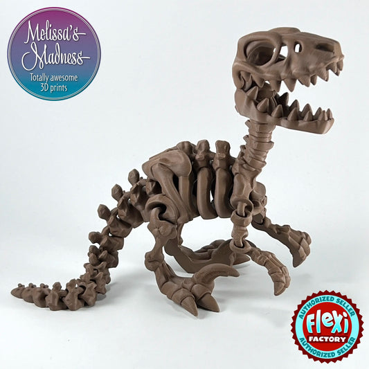 Raptor Skeleton in Walnut