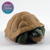 Tortoise in Dark Green & Caramel
