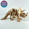 Triceratops Skeleton in Latte