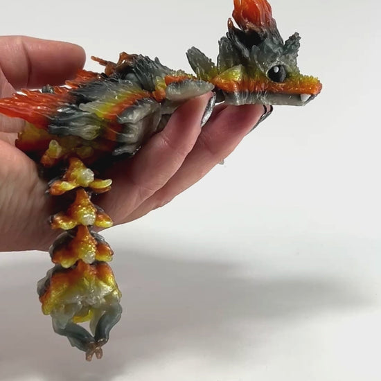 Autumnwing Baby Dragon in Chilly
