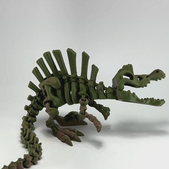 Spinosaurus Skeleton Sustainable 3D Printed Collectible Movement Demonstration in Brown+Dark Green Shifting