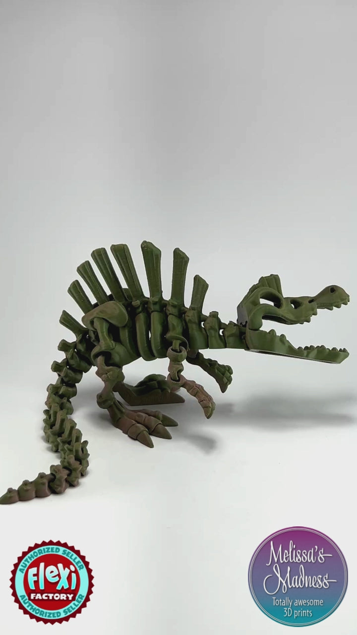 Spinosaurus Skeleton Sustainable 3D Printed Collectible Movement Demonstration in Brown+Dark Green Shifting