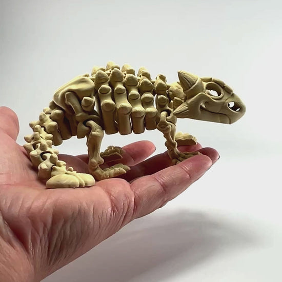 Watch this articulated Ankylosaurus Skeleton 3D printed collectible demonstrate its flexible spine and poseable joints. Made in Montana by Melissa's Madness.