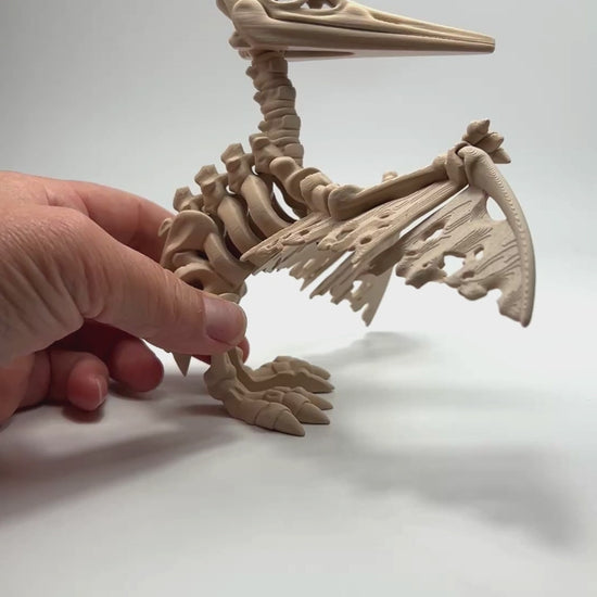 Eco-Friendly Pteranodon Skeleton Articulated Bioplastic Figurine Showing Off in Basic Beige