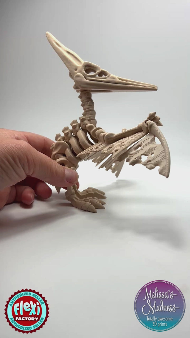 Eco-Friendly Pteranodon Skeleton Articulated Bioplastic Figurine Showing Off in Basic Beige