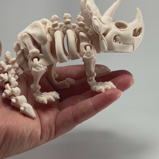 Triceratops Skeleton 3D Printed Collectible Showing Bone Detail and Articulation in Bone