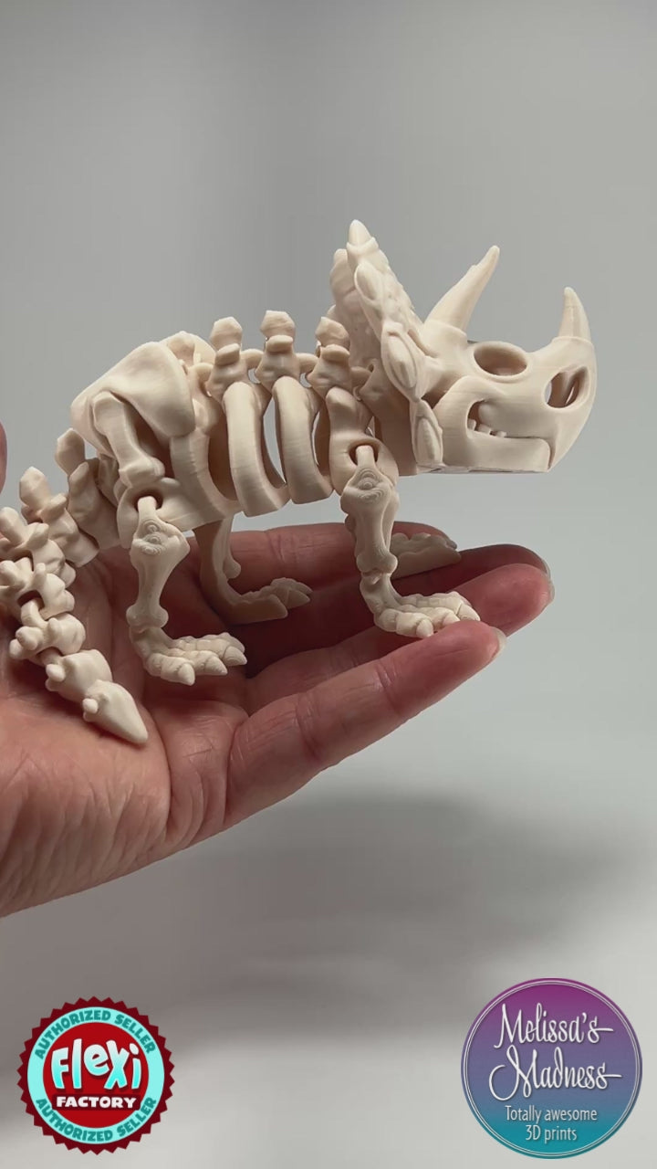Triceratops Skeleton 3D Printed Collectible Showing Bone Detail and Articulation in Bone
