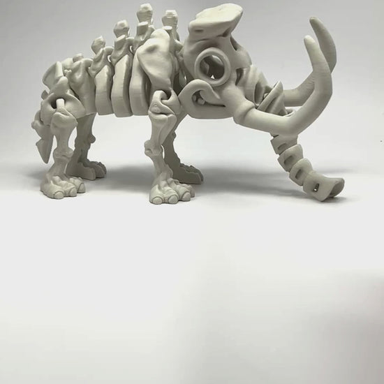 Articulated Mammoth Skeleton 3D Printed Model Flexibility Demonstration in Aged White