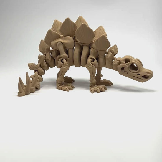 Articulated Stegosaurus Skeleton Wholesale Collectible Flexibility Demonstration in Latte