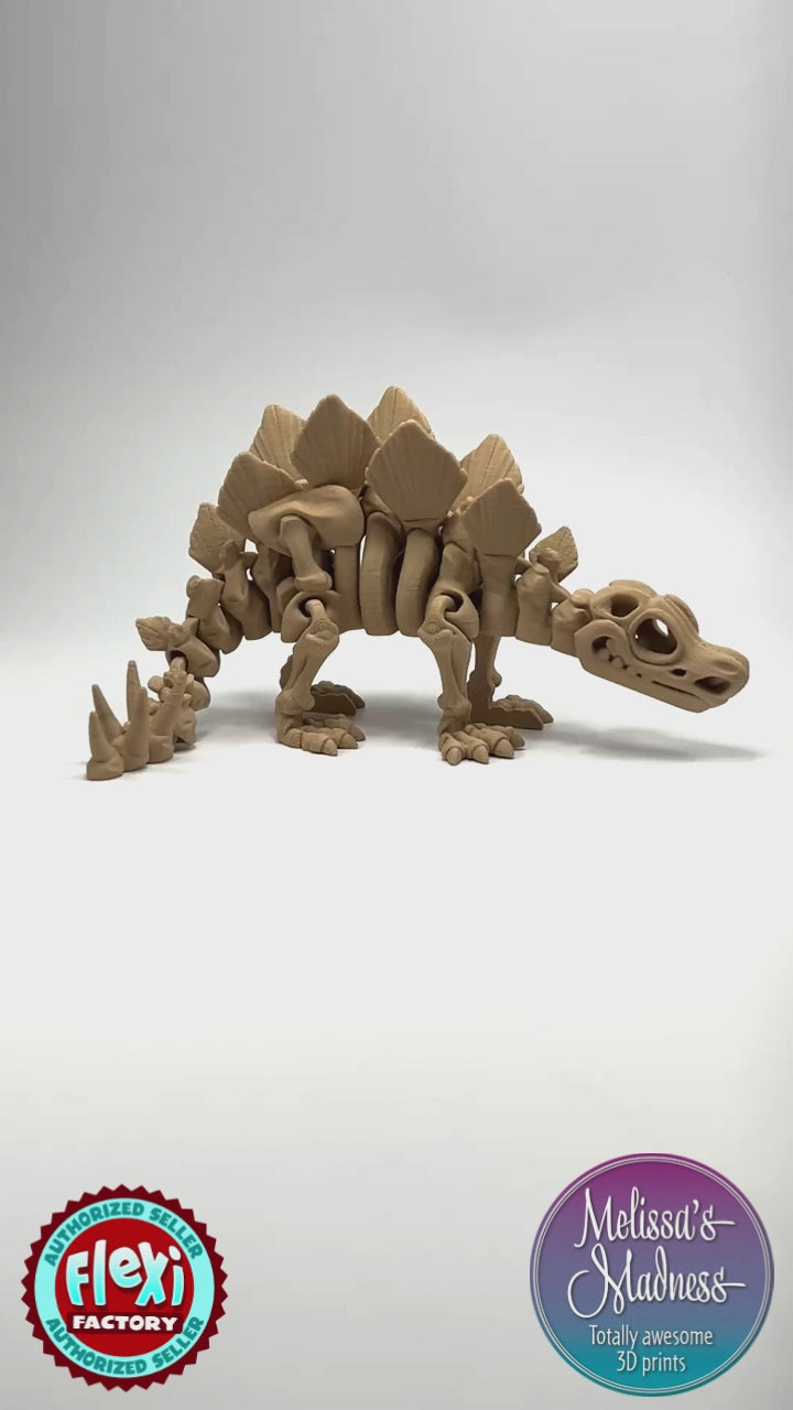 Articulated Stegosaurus Skeleton Wholesale Collectible Flexibility Demonstration in Latte