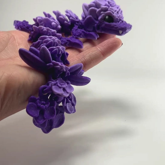 Orchid Baby Dragon in Purple Gradient