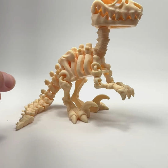 Articulated Raptor Skeleton Biodegradable PLA Model Flexibility Demo in Light Peach