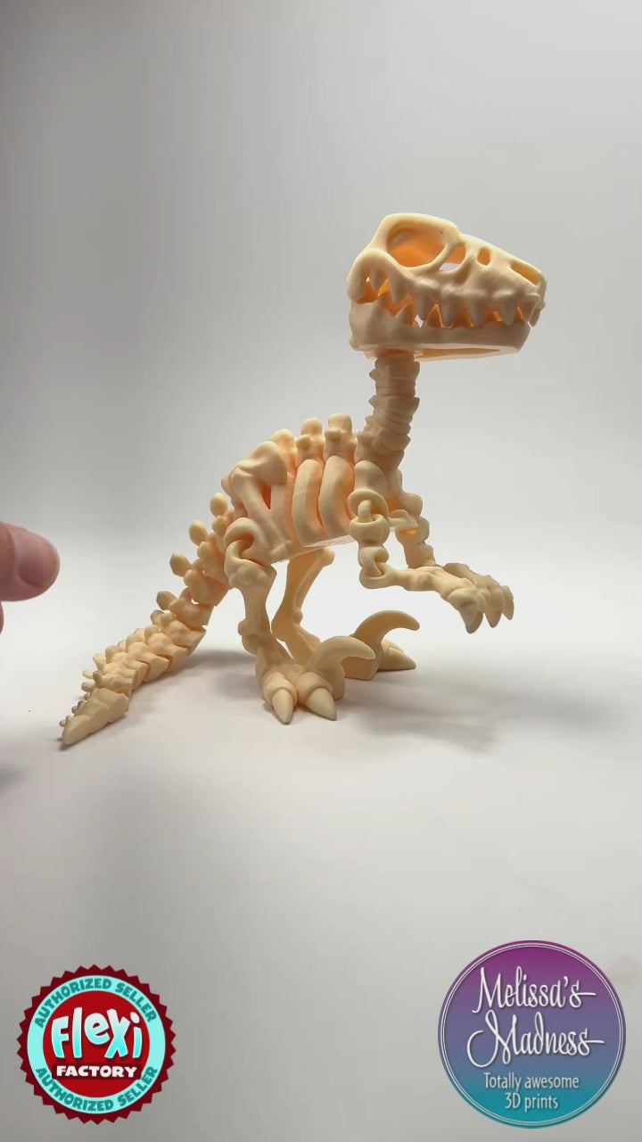 Articulated Raptor Skeleton Biodegradable PLA Model Flexibility Demo in Light Peach