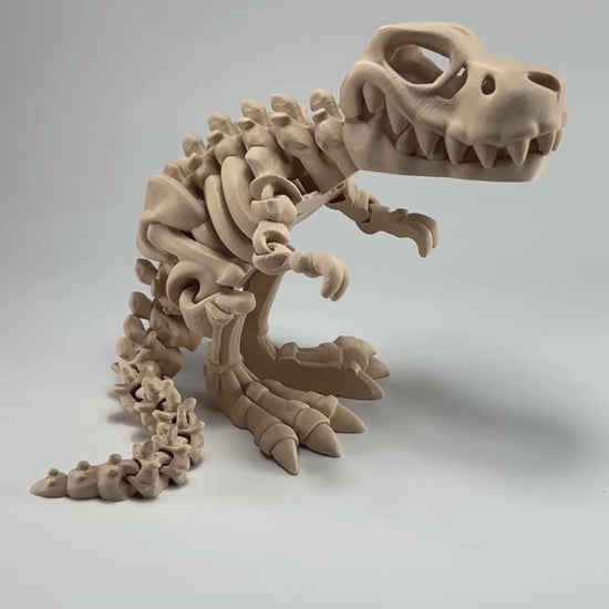 Tyrannosaurus Rex Skeleton Wholesale Collectible Flexibility Demonstration in Latte