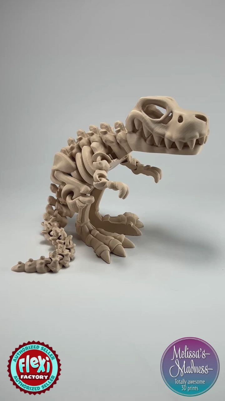 Tyrannosaurus Rex Skeleton Wholesale Collectible Flexibility Demonstration in Latte